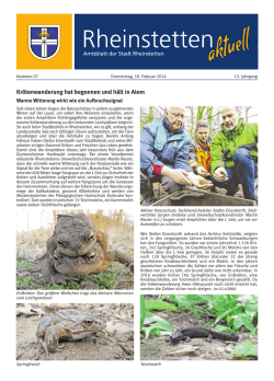 Krötenwanderung hat begonnen und hält in Atem