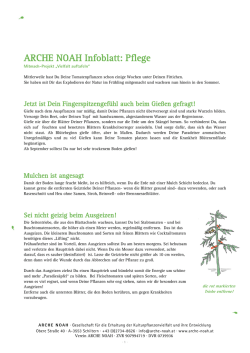 Arche Noah Tipps Pflege [ PDF ]
