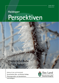 Haidegger Winterliche Ruhe f&uuml;r die Natur