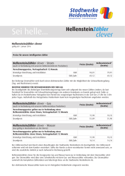 Preisblatt HellensteinZähler clever