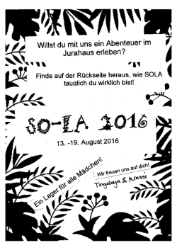 SoLa 2016 - Cevi Uster