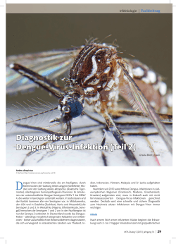Diagnostik zur Dengue-Virus-Infektion (Teil 2)