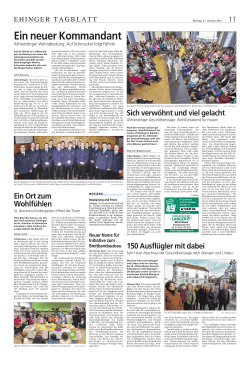 Ein neuer Kommandant - Feuerwehr Allmendingen