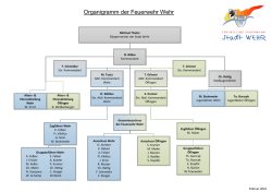 Organigramm der Feuerwehr Wehr