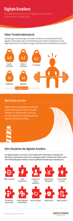 Infografik Digitale Exzellenz