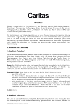 Infosheet - Miete, Leihe, Prekarium