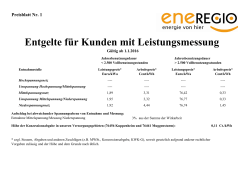 Netznutzungsentgelte 2016