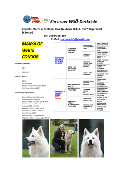 Ein neuer WSÖ-Deckrüde MAKYA OF WHITE CONDOR