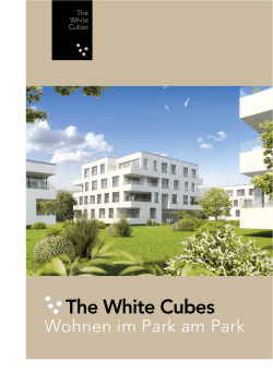 The White Cubes - HS Consulting GmbH