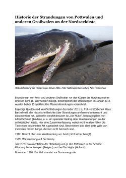 Historie der Strandungen von Pottwalen und anderen Großwalen an