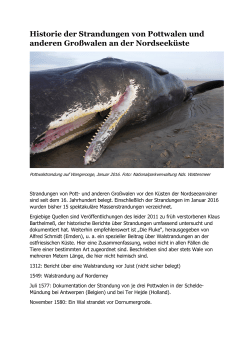 Historie der Strandungen von Pottwalen und anderen Gro&szlig;walen an
