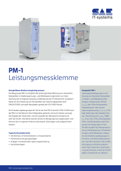 PM-1 Leistungsmessklemme - SAE IT