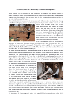 Erfahrungsbericht – Workcamp Tansania Mwanga 2015