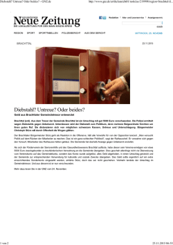 GNZ Diebstahl-Untreue- Oder beides 23.11.2015