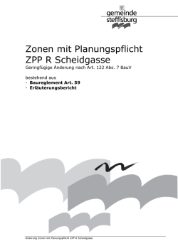 Zonen mit Planungspflicht ZPP R Scheidgasse