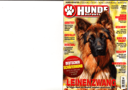 hunde- reporter erz|ehung + sport + news + ern&auml;hrung + beratung