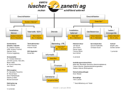 organigramm elzag ab 1.1.2016 - Elektro Lüscher & Zanetti AG