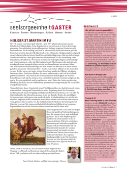 heiliger st. martin im fli