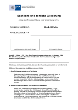 Sachliche und zeitliche Gliederung Koch K&ouml;chin