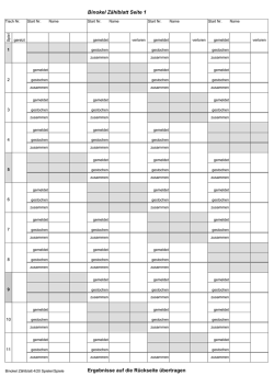 pdf-Datei (4er)