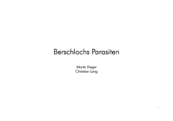 Berschloch - Vorschau - Heimseite von Christian Lang
