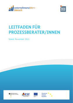 leitfaden f&uuml;r prozessberater/innen
