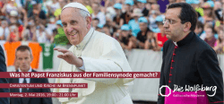 Was hat Papst Franziskus aus der Familiensynode gemacht?