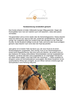 Hundesicherung verst&auml;ndlich gemacht