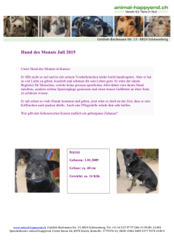 Hund des Monats Juli 2015
