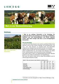 Merkblatt Mais Rindvieh - Landwirtschaftliches Zentrum Liebegg