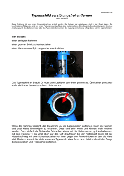 Typenschild zerstörungsfrei entfernen