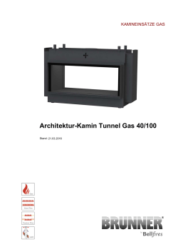 Architektur-Kamin Tunnel Gas 40/100