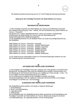 H13 - Feuerwehrsatzung