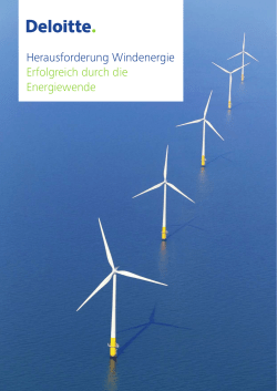 Herausforderung Windenergie Erfolgreich durch die Energiewende