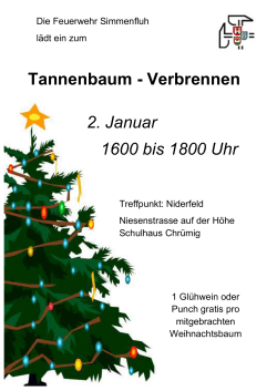 Tannenbaum Verbrennen 2016 Plakat
