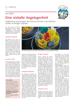 Eine eiskalte Angelegenheit