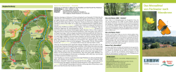 Natura Trail W&auml;sserwiesen - Moosalbtal