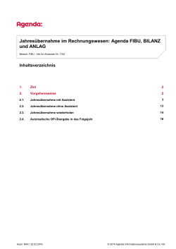 Jahres&uuml;bernahme im Rechnungswesen: Agenda FIBU