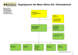 Organigramm der Meier Söhne AG / Schwaderloch