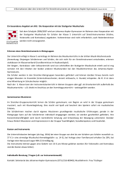 Informationen &uuml;ber den Unterricht f&uuml;r Streichinstrumente am
