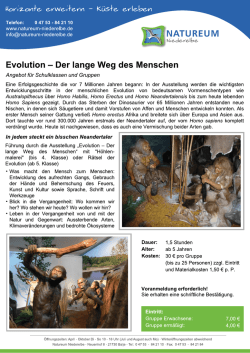 Hohlomfe exWei+exm — Kü5`l`a erlebem