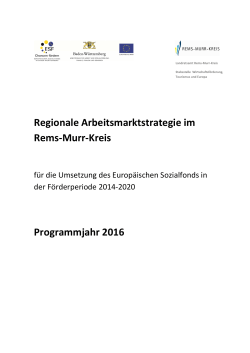 Regionale Arbeitsmarktstrategie im Rems-Murr