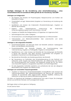 Informationen zur Erstellung eines Sicherheitsberichts