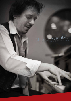 Marcus Schinkel Trio Flyer