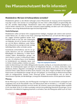 Merkblätter zum Pflanzenschutz: Rhododendron: Wie kann ich