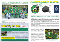 Icebreaker-News-259-Celje-1