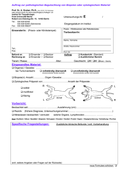 Eingesandtes Material: Vorbericht: Spezifische Fragestellungen: