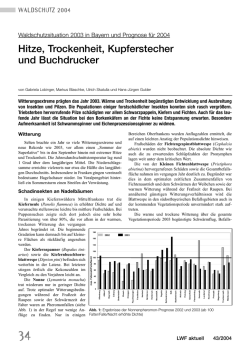Hitze, Trockenheit, Kupferstecher und Buchdrucker