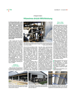 Hitzestress dr&uuml;ckt Milchleistung - Landwirtschaftskammer Schleswig