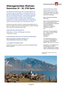 Infoblatt als PDF